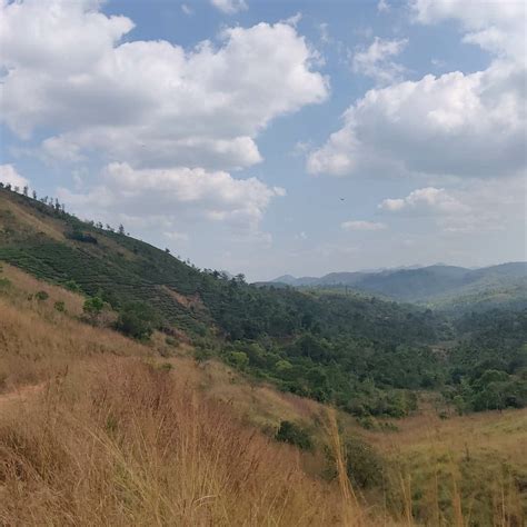 ULUPPUNI MEADOWS - All You Need to Know BEFORE You Go 2026 (with Photos ...