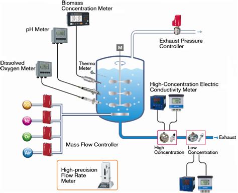 Biotechnical Process 的图像结果