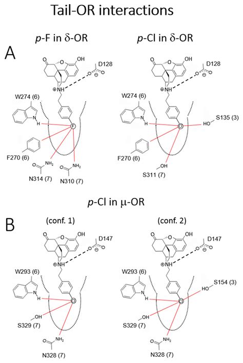 The Intriguing Effects of Substituents in the N-Phenethyl Moiety of ...