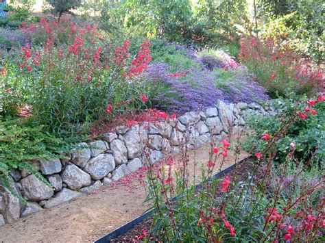 Custom Backyard Landscaping 的图像结果