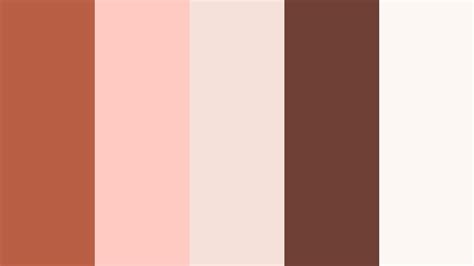 The Best 15 Terracotta Clay Color Palette Ideas for Video & Design