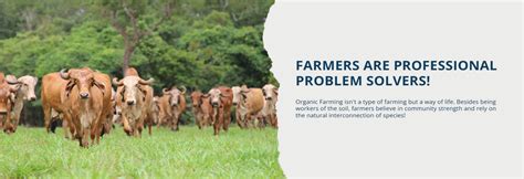 Buy Gaushala Ghee Online | Gavyamart – Gavyamart Store