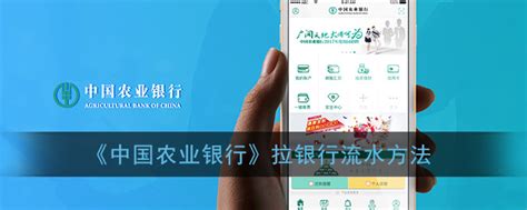 上海银行app怎么拉流水_上海银行手机银行拉交易流水单方法_3DM手游