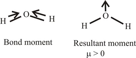 Image result for Chemistry Lab Notebook UTSC Examples