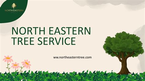 Northeastern Tree Service 的图像结果