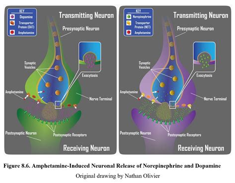 Amphetamines Effects On The Body - painting of your mind on amphetamine