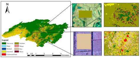 Machine Learning-Based Fine Classification of Agricultural Crops in the ...