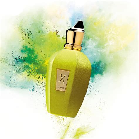 Xerjoff Amabile Eau de Parfum for Men – Perfume Network India