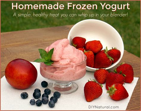 How To Make Healthy Frozen Yogurt At Home - Retake Again