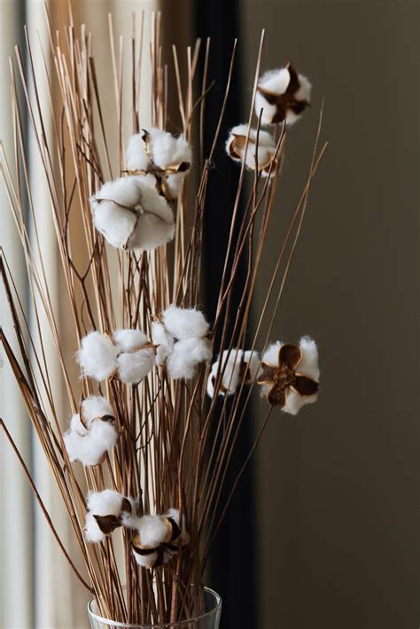 Dried Flower Bunches – Fleck