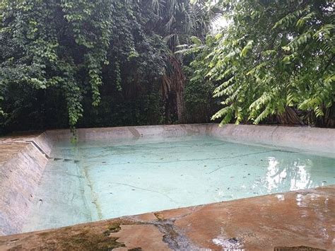 CABAÑAS PÁJARO AZUL (Akil) - Cottage Reviews & Photos - Tripadvisor