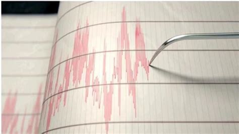 Three killed, 20 injured in Iran earthquake: State television | World News
