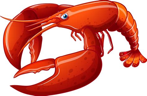 Lobster Illustration, Seafood Artwork, Marine Creature PNG
