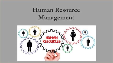 HRM Introduction 的图像结果