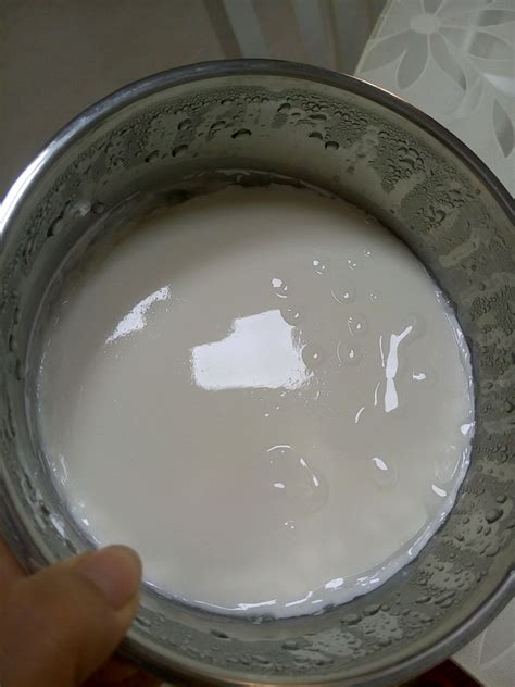 自制酸奶怎么做_自制酸奶的做法_豆果美食