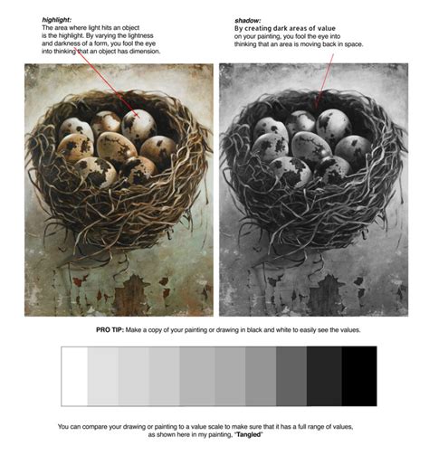 Example Value 的图像结果