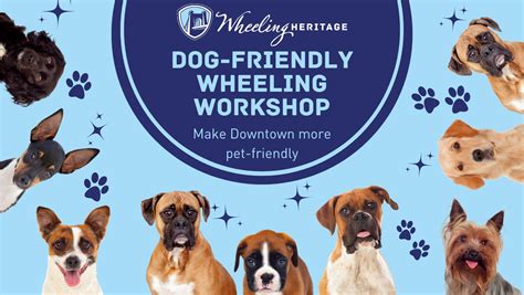 Want to Help Make Wheeling More Dog-Friendly? Here's How! - Weelunk