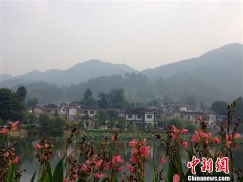 今年前4个月，湄潭茶叶直营出口额突破1000万美元_腾讯新闻