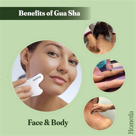 Stainless Steel Gua Sha Stone (Premium Face Massage Tool) – Shudh Online