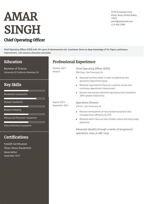 Chief Operations Officer Resume Business Operations Resume Examples