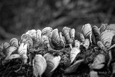 OnOne Perfect 8 1 Suite Tutorials 的图像结果