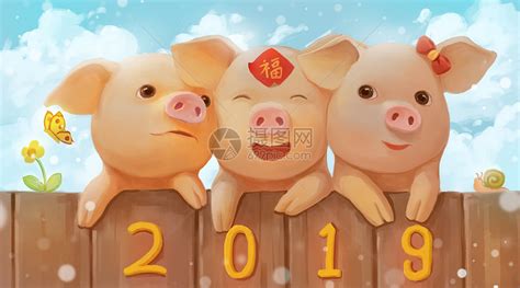 猪年三只小猪插画图片下载-正版图片400850206-摄图网