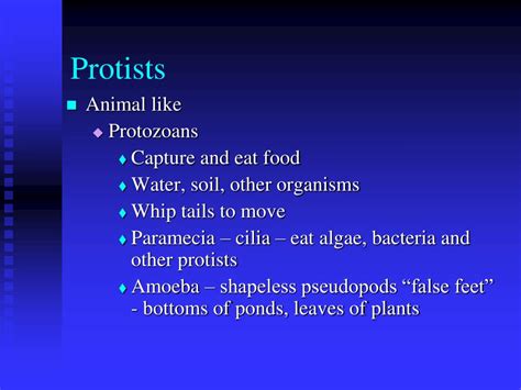 Image result for Classification System