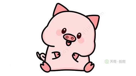 可爱小猪简笔画 - 天奇教育