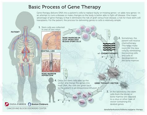Gene Therapy 的图像结果