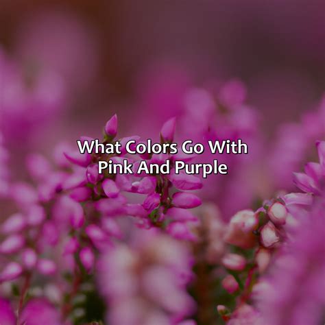 What Colors Go With Pink And Purple - colorscombo.com