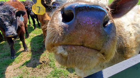 About — Evans Family Ranch