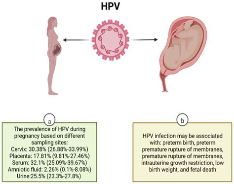 Mild Hpv Female
