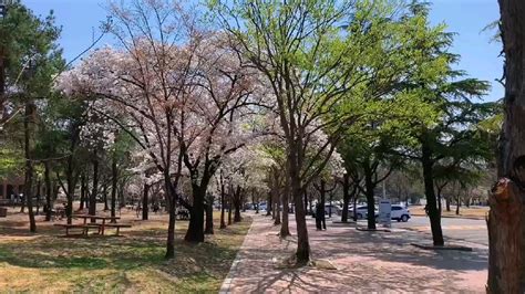 韩国岭南大学，美国机票网（美中机票网）