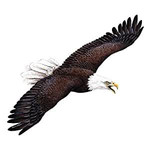 Buy Walls of the Wild Eagle Mural Online at Low Prices in India - Amazon.in