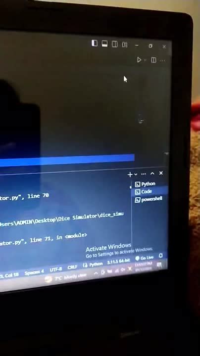 Python Sumit Mittal 的图像结果