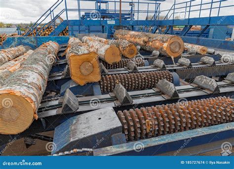 Image result for Wood Sorting System