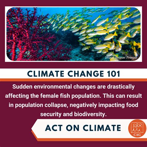 Climate change - Impact on fish harmones | Climate Connection