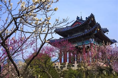 南京必去5个景点叫什么名字（南京六个名胜古迹景点，每一个文化价值都很高，很适合游玩） | 说明书网