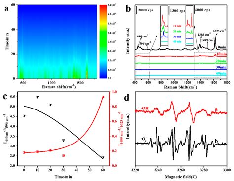 MoS2/Au Heterojunction Catalyst for SERS Monitoring of a Fenton-like ...