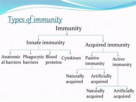 Classification Of Immunity