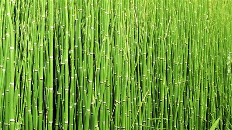 Image result for Code Structure HTML/CSS