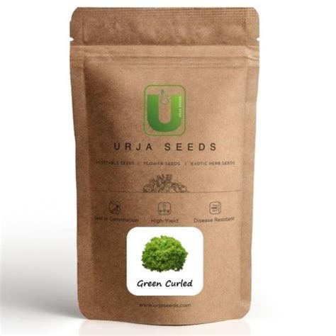 Urja Green Curled Lettuce Seeds