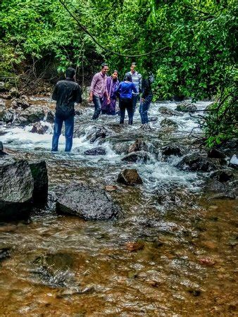 Tamhini Ghat (Pune) - 2018 What to Know Before You Go (with Photos ...