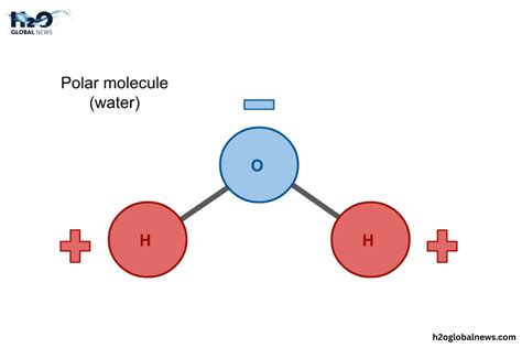 Why Is Water Called the Universal Solvent? The Science Behind It | H2O Global News
