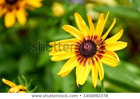 Image result for Basic Machine Learning Application Design Sample