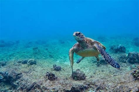 TROPICAL KAYAK RENTALS, LLC. (2026) All You Need to Know BEFORE You Go ...
