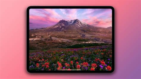 iPad Pro Screen 的图像结果