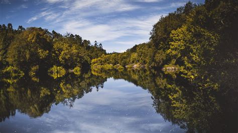 Download wallpaper 1920x1080 trees, reflection, river, sky full hd ...