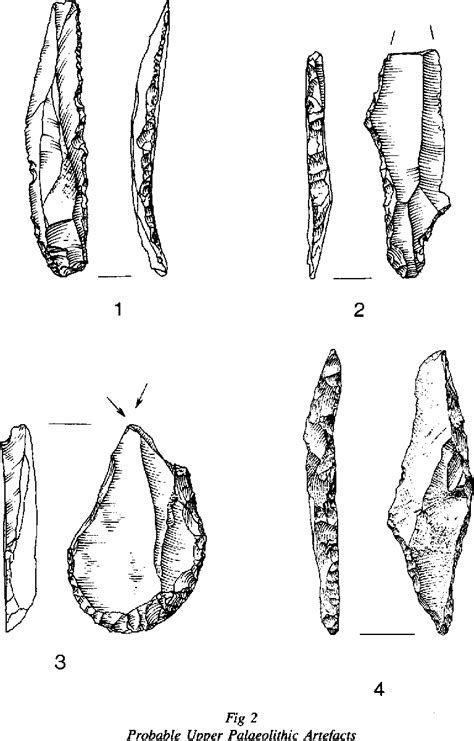 Stone Age History 的图像结果
