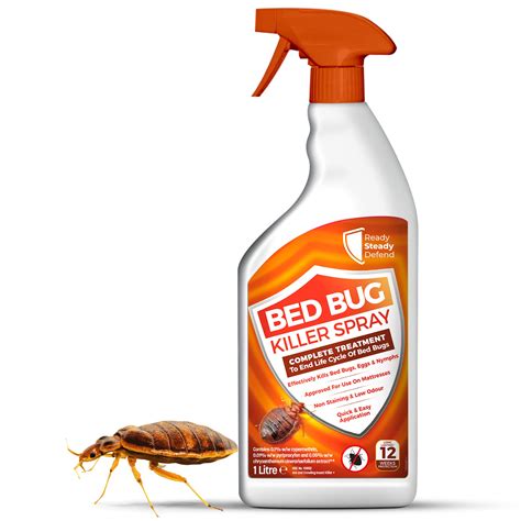 Best insect killer spray online